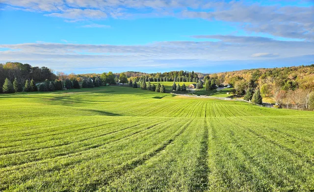 Woodstock Stage Area