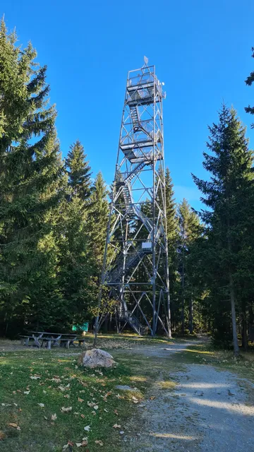 Aussichtswarte Wildwiese