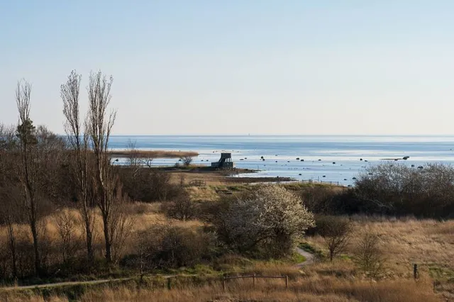 Bunkeflo strandängar