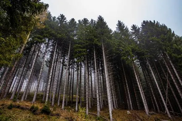 Sankt Stefan im Gailtal