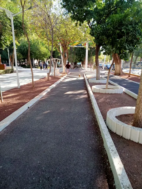 photo-3