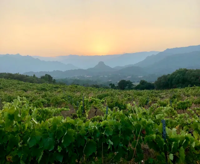 Domaine Fior di Lecci