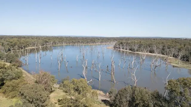 GUM SWAMP & BIRD HIDE