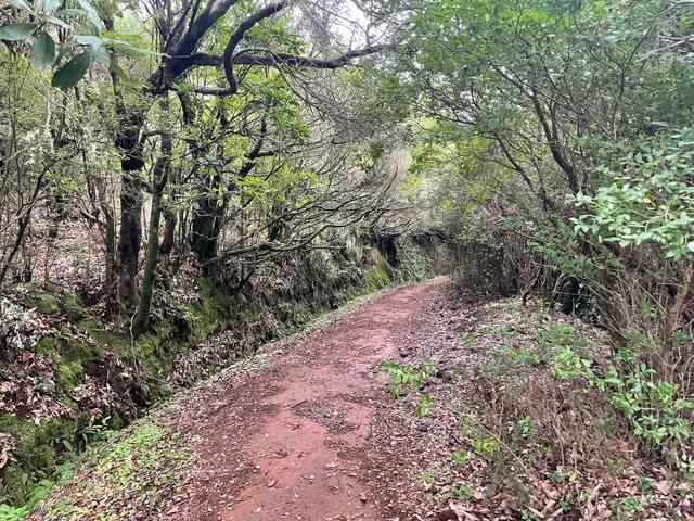 PR15 Vereda da Ribeira da Janela