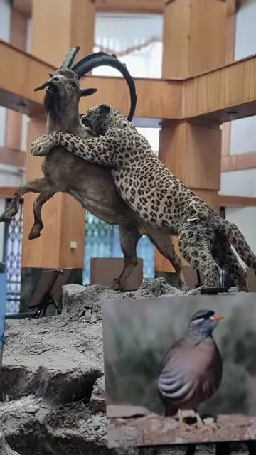 Golestan National Park Museum