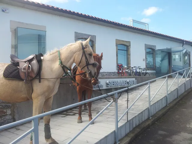 Interpretive Center Sueve Mountains