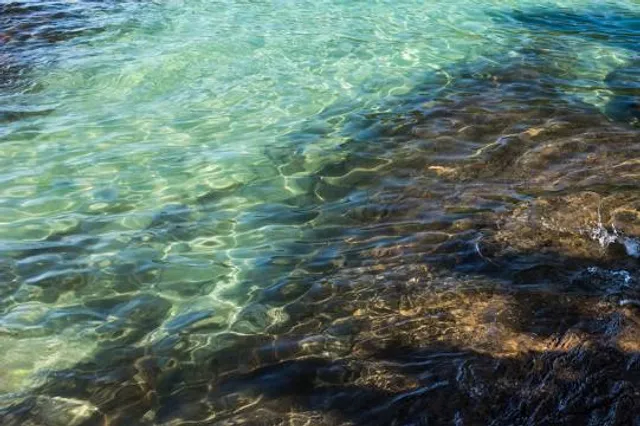 Cooperative Rosa dei Venti