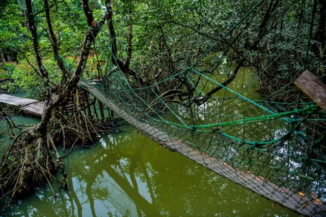 Falcorp Mangrove Park