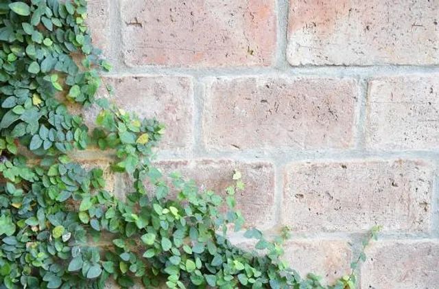 Puente de La Historia