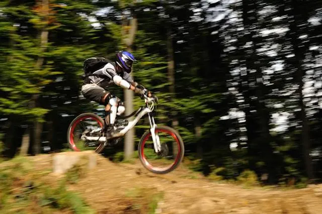 Spider Forest and Nature Conservation Areas