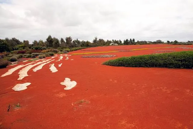 place image