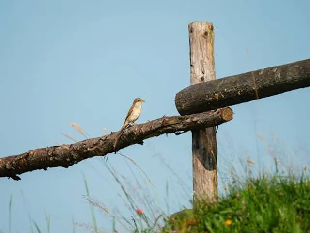 Miasto Western Silverado City Park Rozrywki