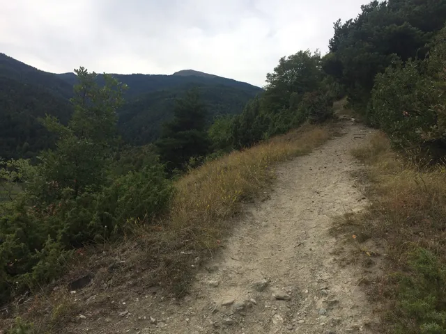 photo-1