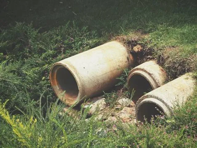 Speelnatuur Tiengemeten
