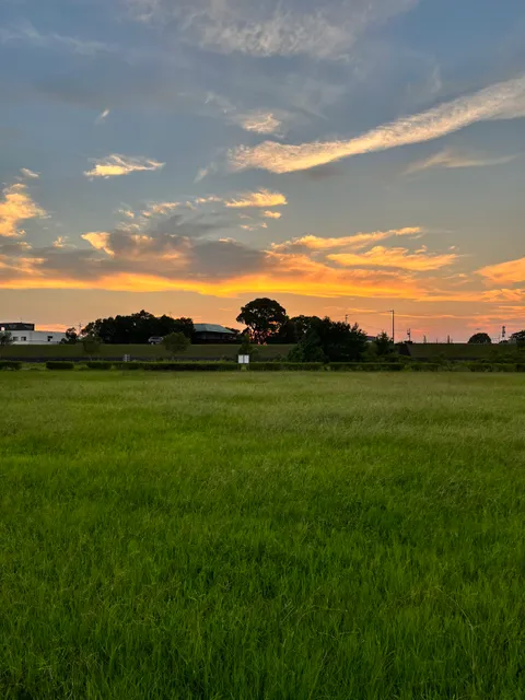 Tenryugawa Ryokuchi Park