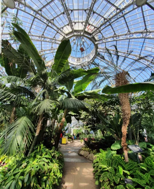 Allan Gardens Children's Conservatory