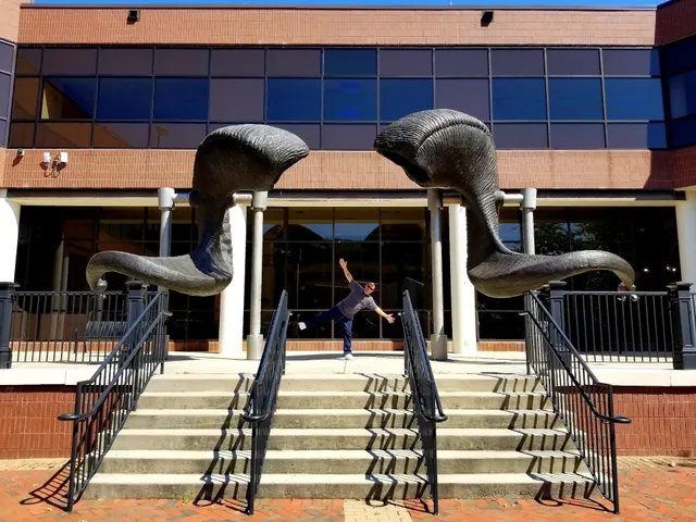 University Student Commons