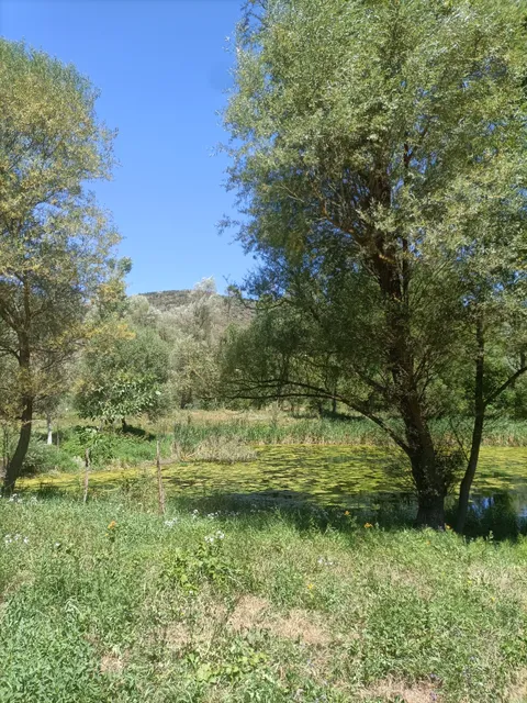 Les basses de Gallissà