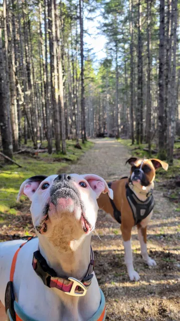 Tantramar Outdoor Club Trailhead