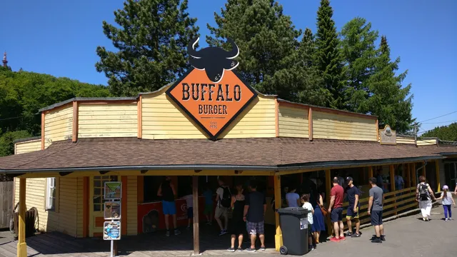 Buffalo Burger