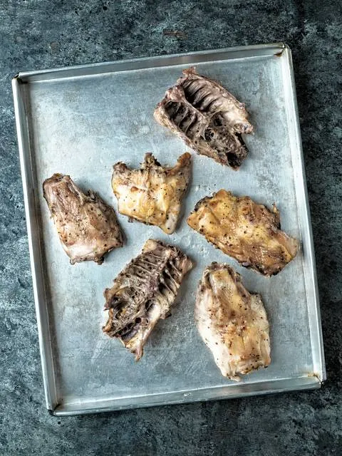 Statue of Tokugawa Ieyasu