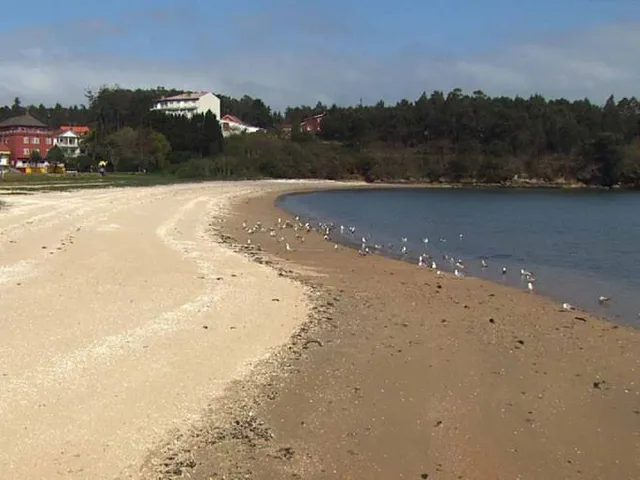 Praia de Area Da Vila