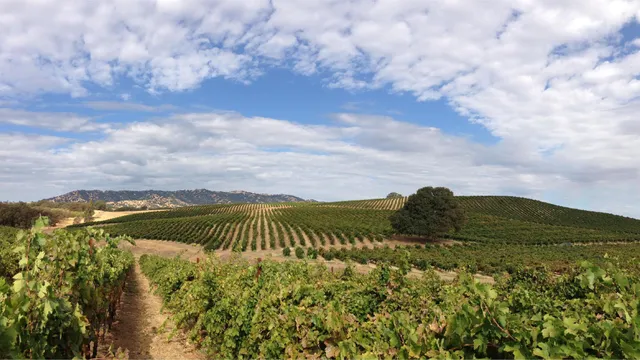 Berryessa Gap Vineyards Downtown Tasting Room