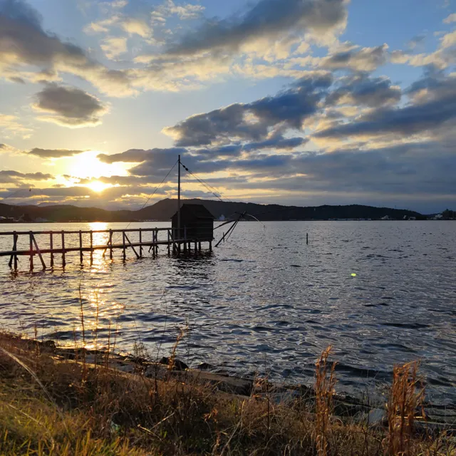 Lake Tōgō 4-Armed Nets