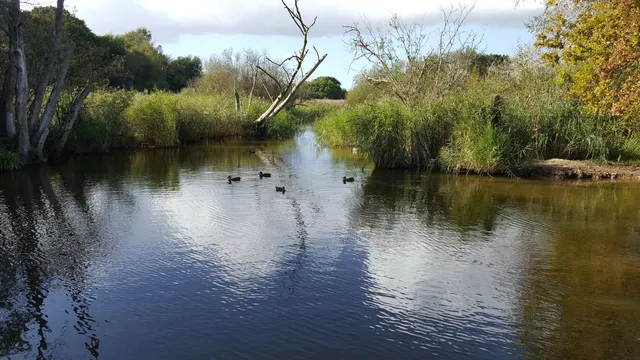 Wildgrounds Nature Reserve