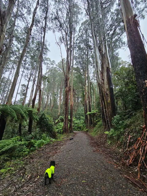 Mathias Walking Track