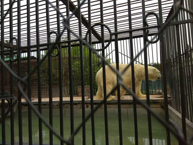 Seversky Nature Park