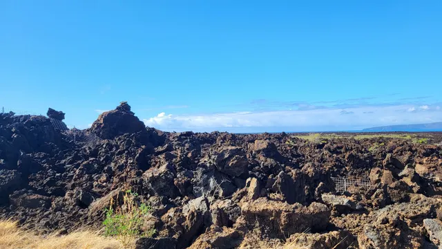 ‘Āhihi-Kīna‘U Natural Area Reserve