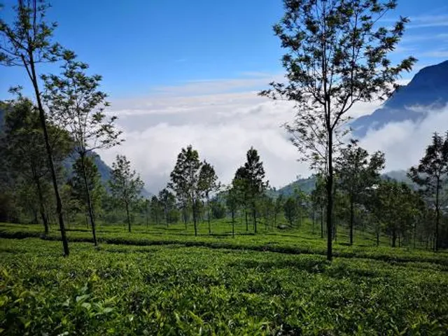 photo-2