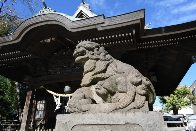 photo-1