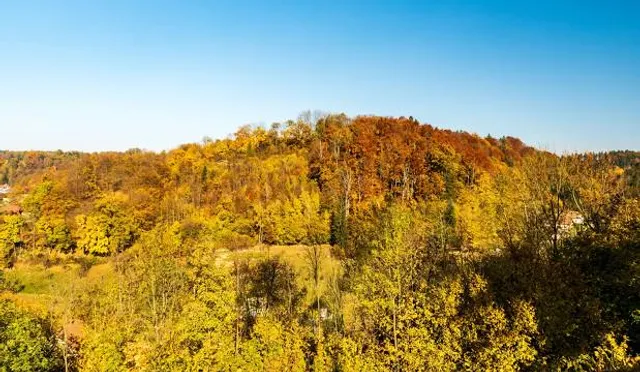 Přírodní park Orlice