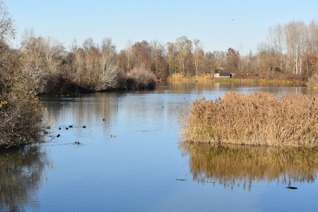 Oasi Naturalistica "La Madonnina"