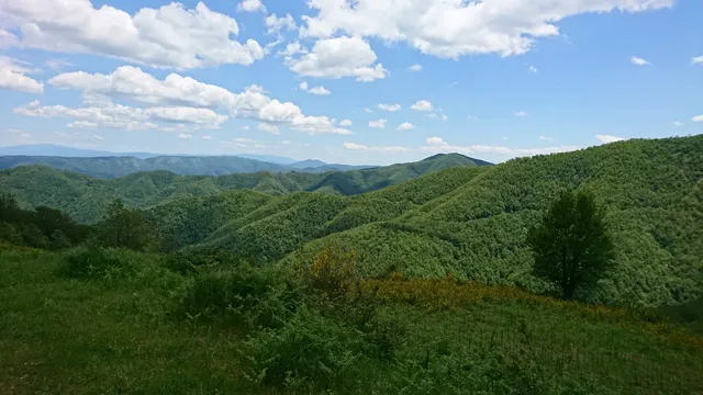 Riserva naturale Acquerino