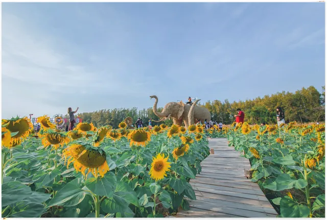 โคกตาบัน ตะวันยิ้ม