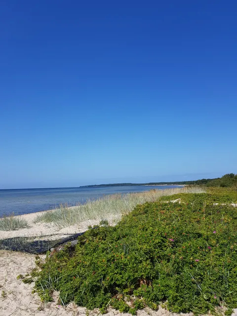 Laulasmaa Surfiklubi