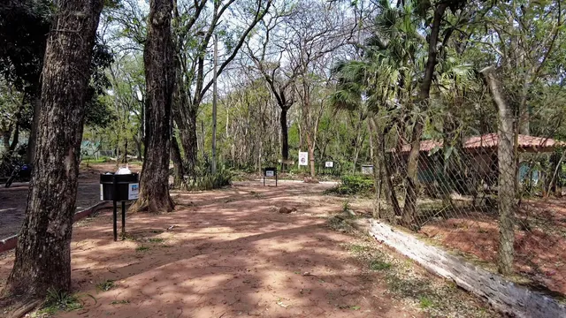place image