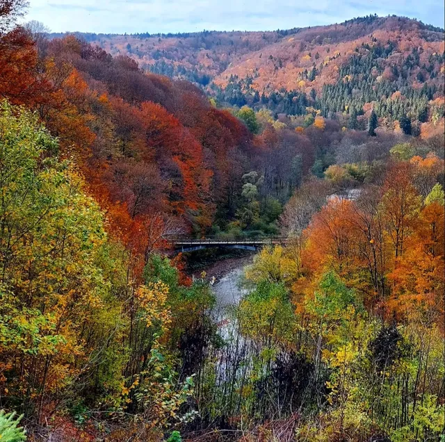 Osława Gorge