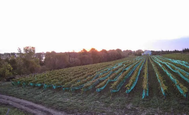 Half Moon Bay Winery