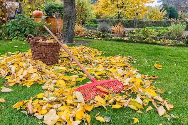 Koziołek Matołek European Tale Centre
