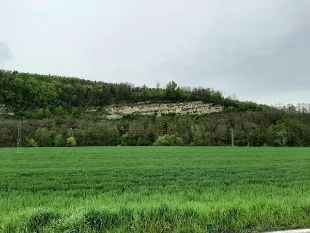 Buchfarter Felsenburg