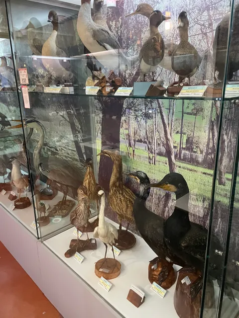 Museo Civico di Scienze Naturali