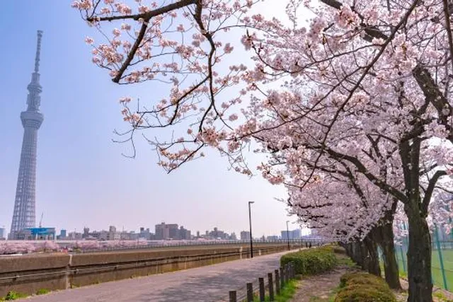 Sumida Park