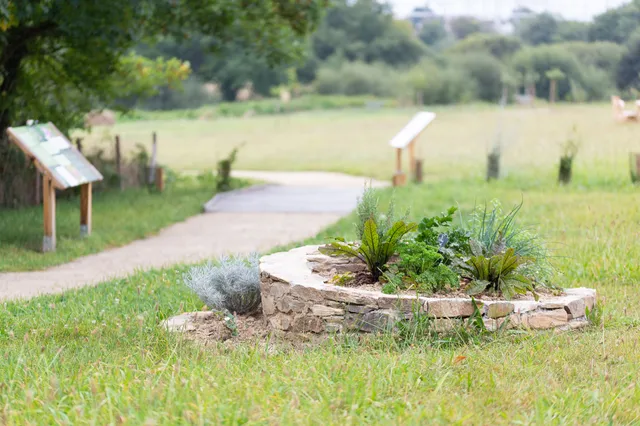 Le vallon des butineurs
