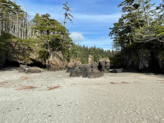 Area B (Quatsino Sound/Cape Scott)