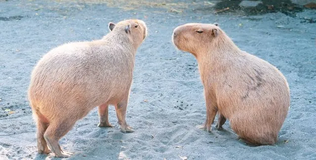 Spiaggia Dei Milanesi