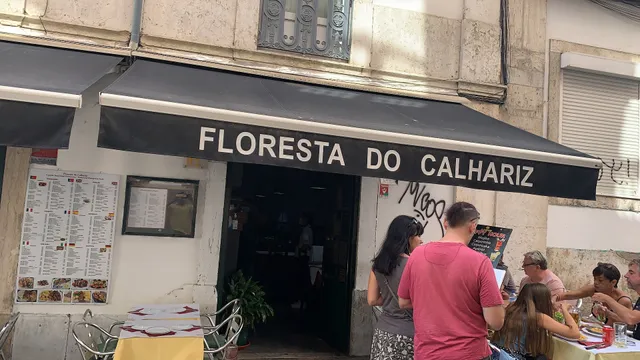Floresta do Calhariz